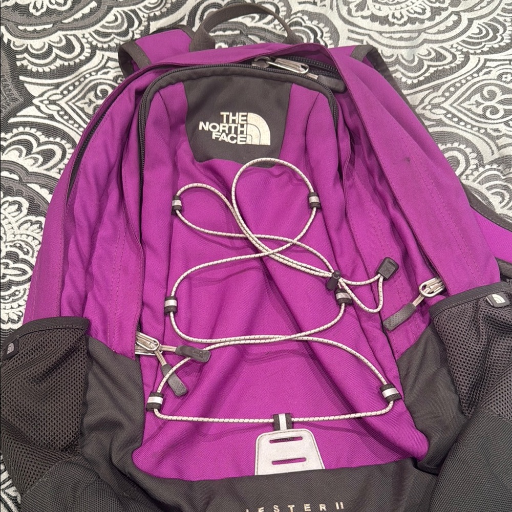 The North Face Purple and Black Backpack